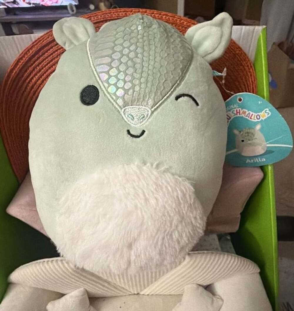 Squishmallows Arilla The Armadillo 7.5 Inch Plush Toy
